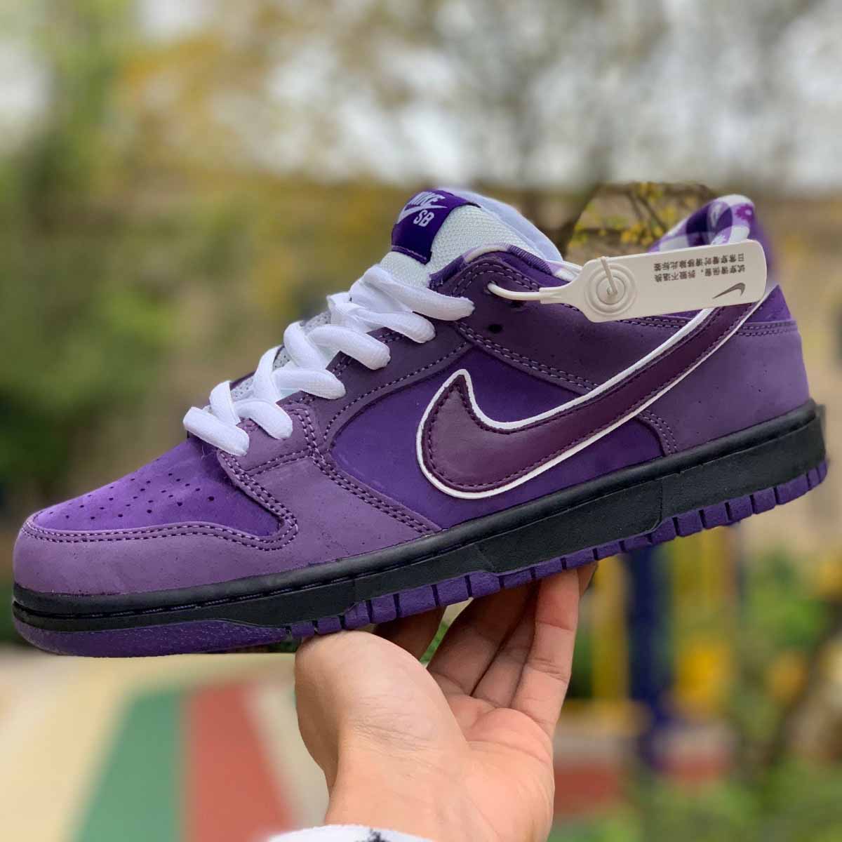 Nike SB Dunk Low Pro OG QS Special 