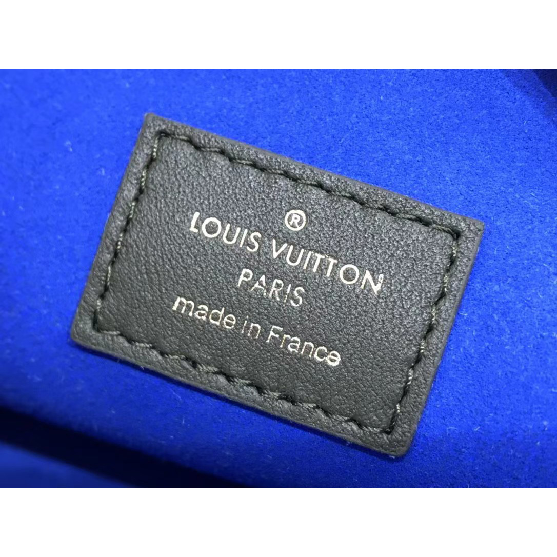 Louis Vuitton  Handbag （20 x 16 x 12cm） - DesignerGu