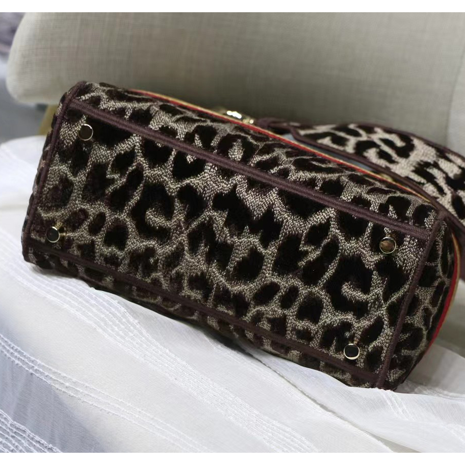 Dior Leopard Print Lady Bag（24-20-11CM） - DesignerGu