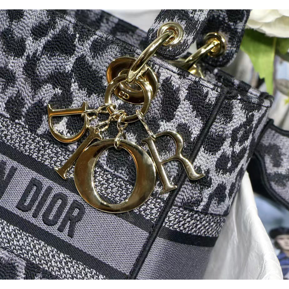 Dior Leopard Print Lady Bag（24-20-11CM） - DesignerGu