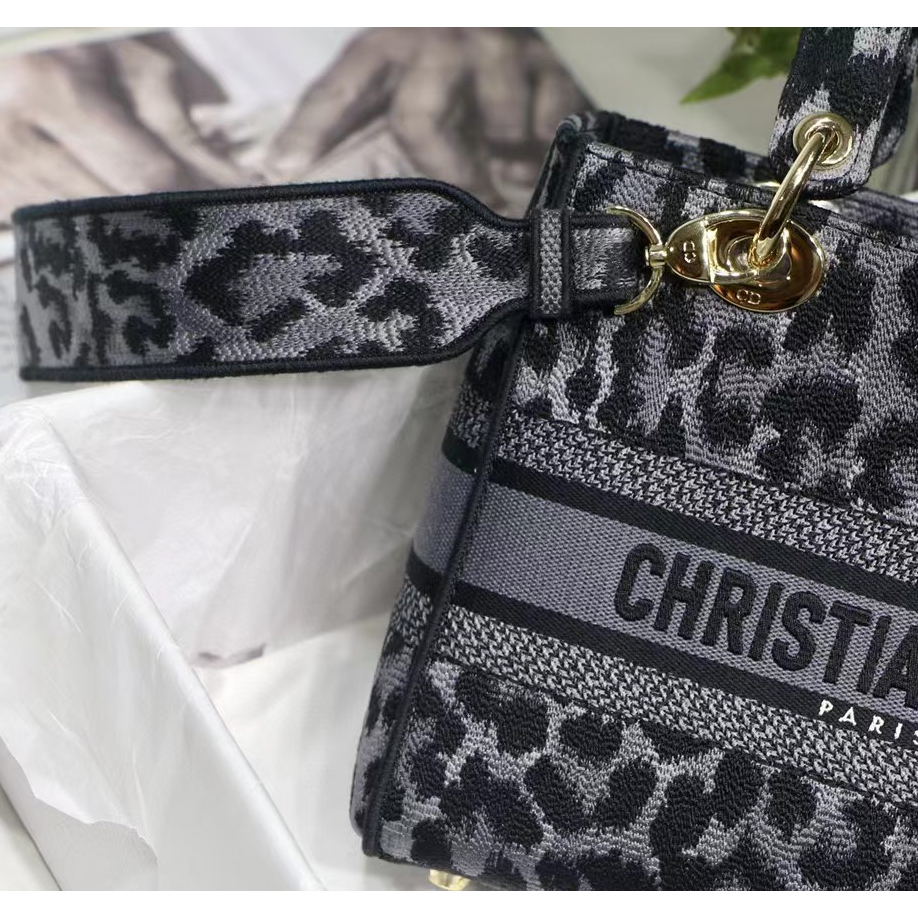 Dior Leopard Print Lady Bag（24-20-11CM） - DesignerGu