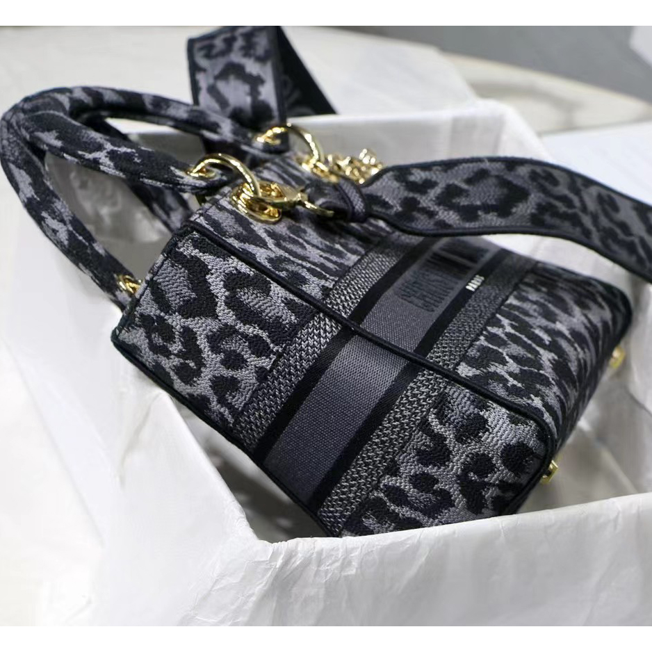 Dior Leopard Print Lady Bag（24-20-11CM） - DesignerGu