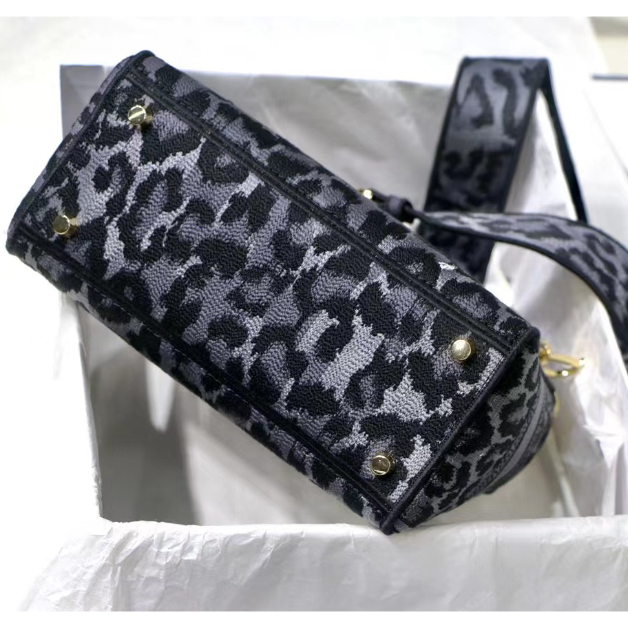 Dior Leopard Print Lady Bag（24-20-11CM） - DesignerGu