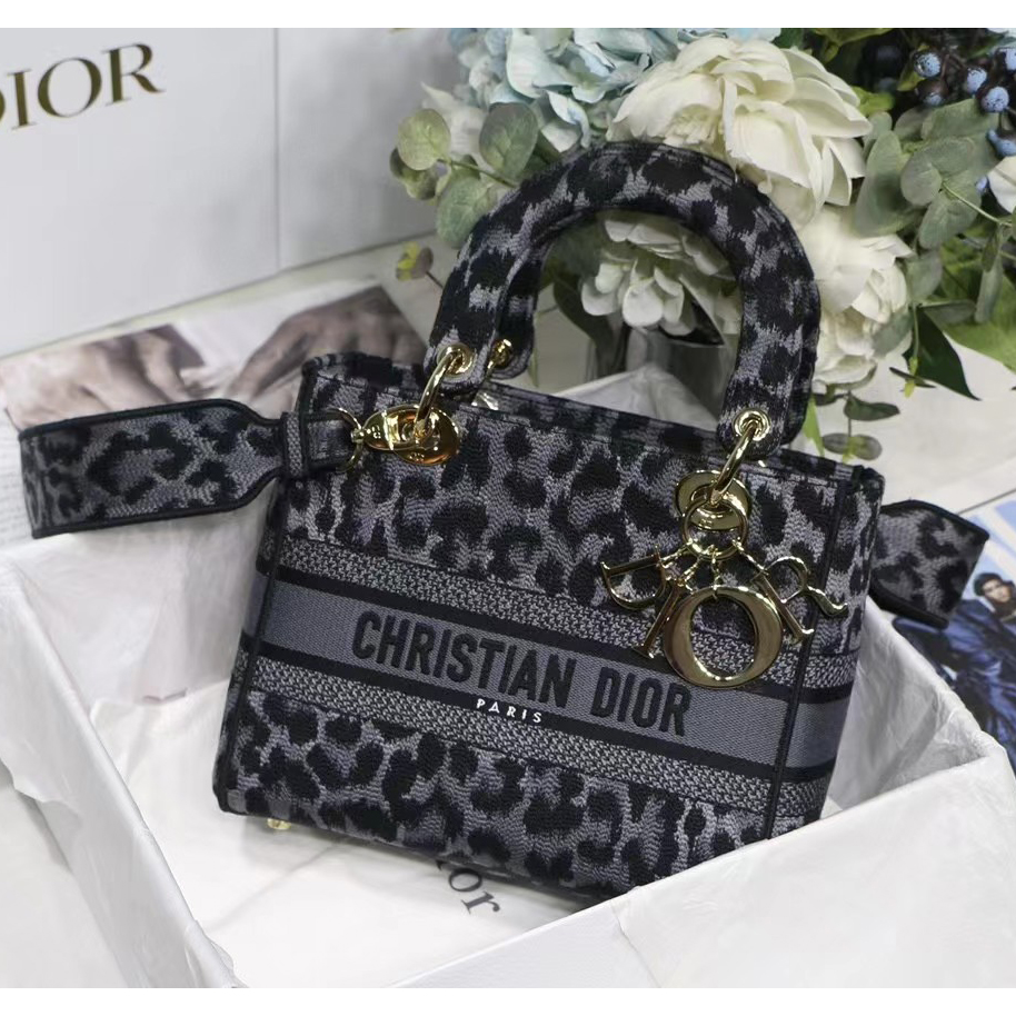 Dior Leopard Print Lady Bag（24-20-11CM） - DesignerGu