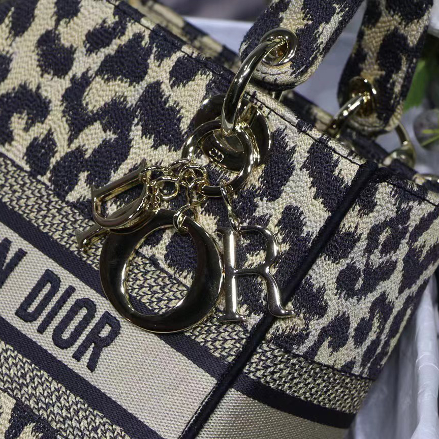 Dior Leopard Print Lady Bag（24-20-11CM） - DesignerGu