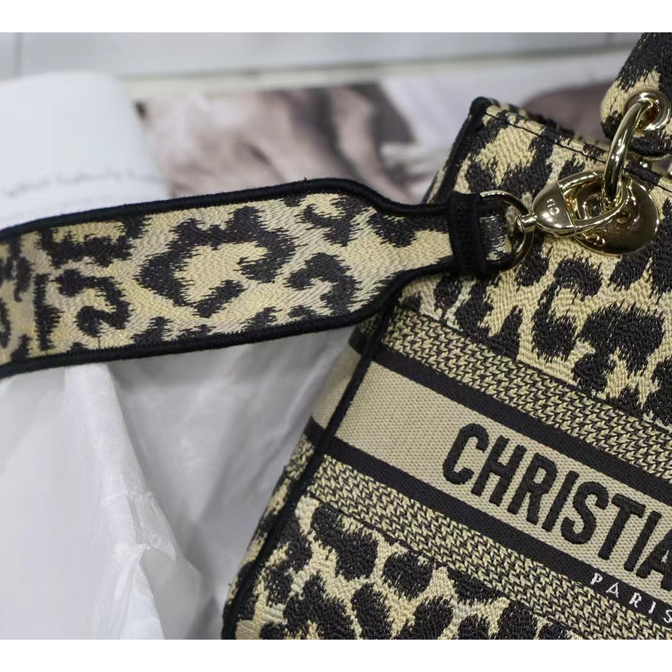 Dior Leopard Print Lady Bag（24-20-11CM） - DesignerGu