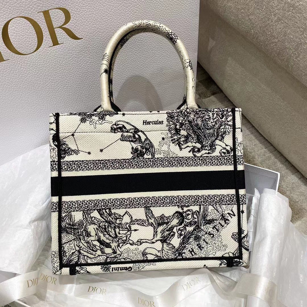 Dior Oblique Embroidered Book Tote - DesignerGu