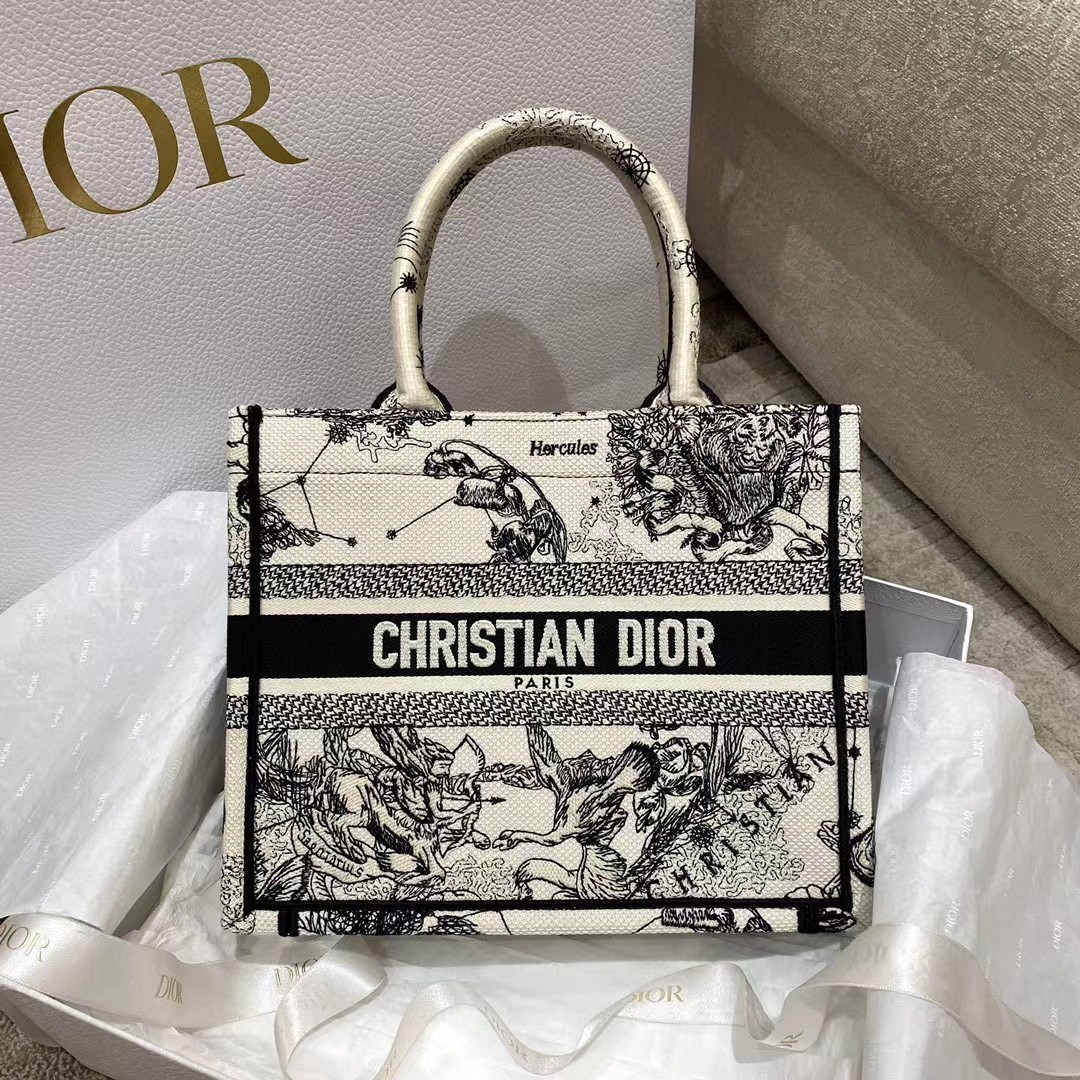 Dior Oblique Embroidered Book Tote - DesignerGu