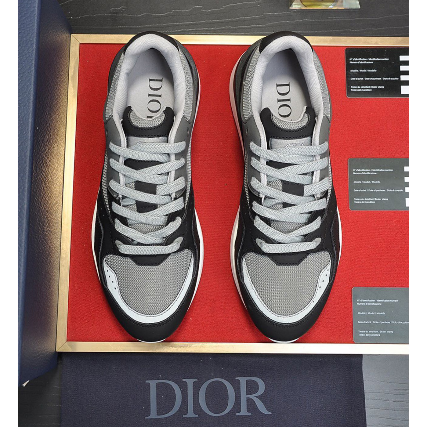 Dior B29 Low-Top Sneaker - DesignerGu