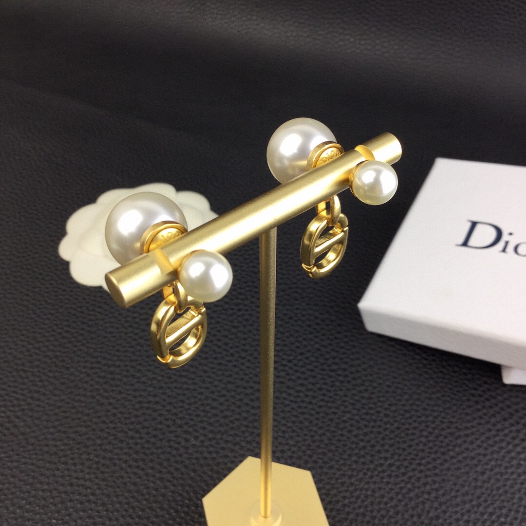 Dior Tribales Earrings - DesignerGu