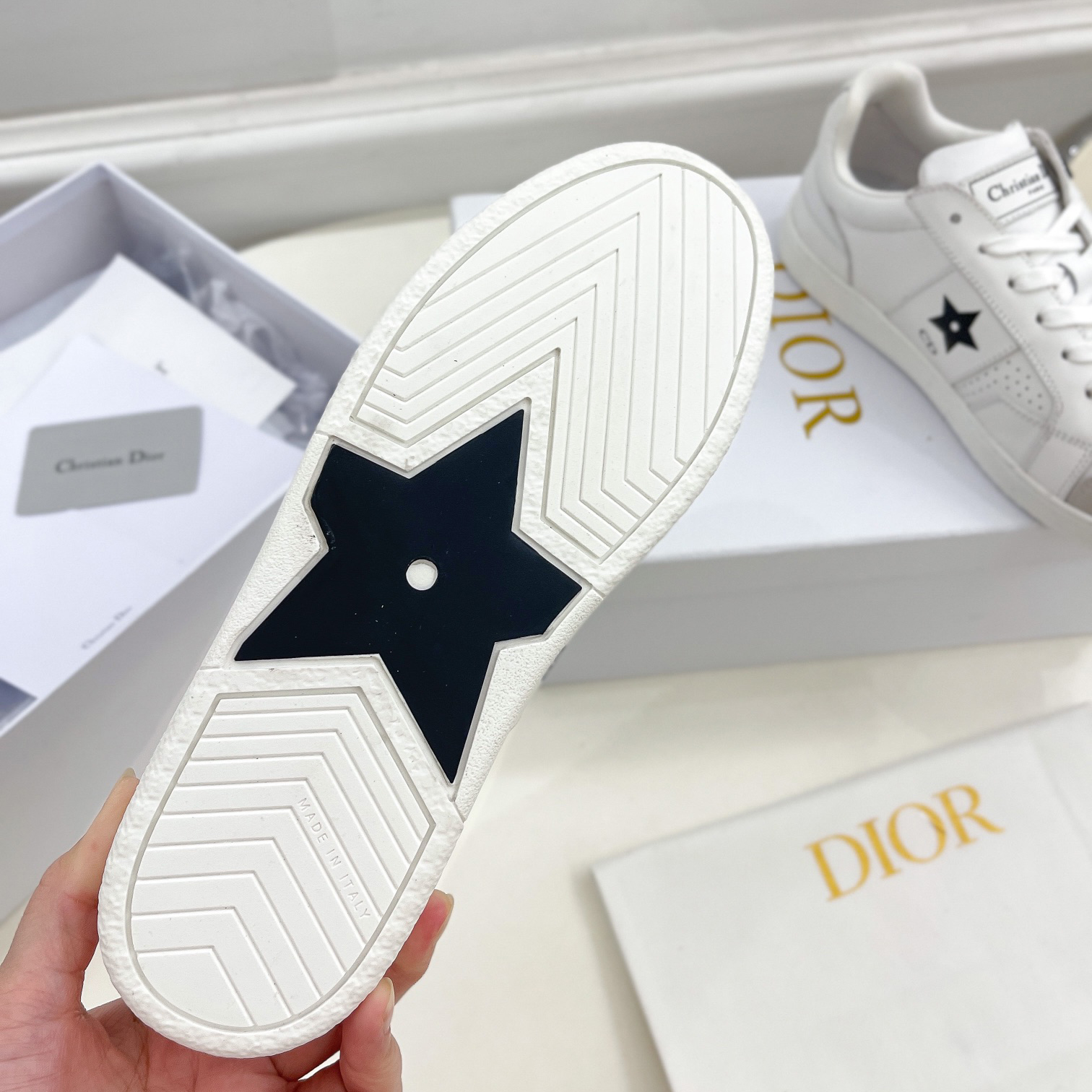 Dior Star Sneaker  - DesignerGu