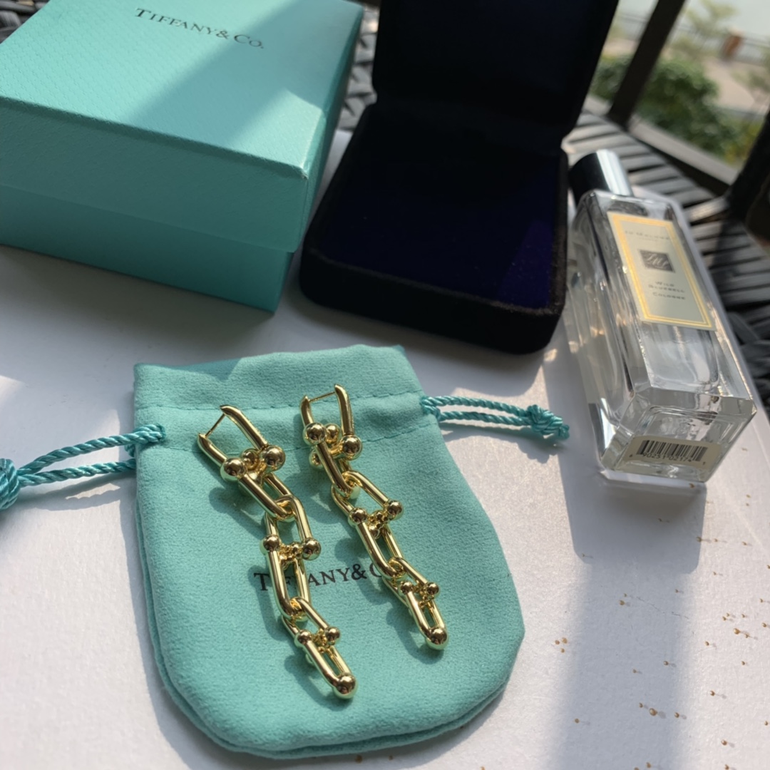 Tiffany&CO Graduated Link Earrings - DesignerGu