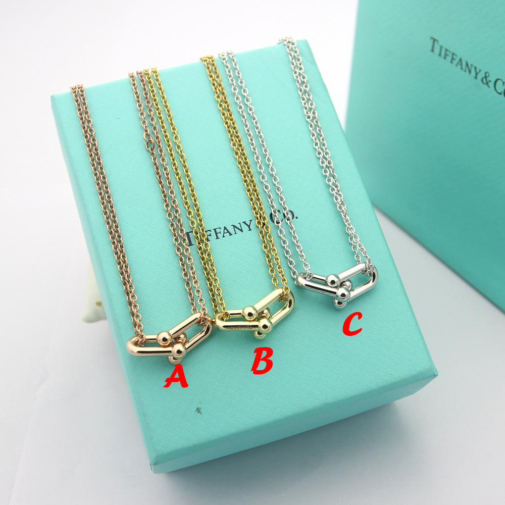 Tiffany&CO Double Link Pendant - DesignerGu