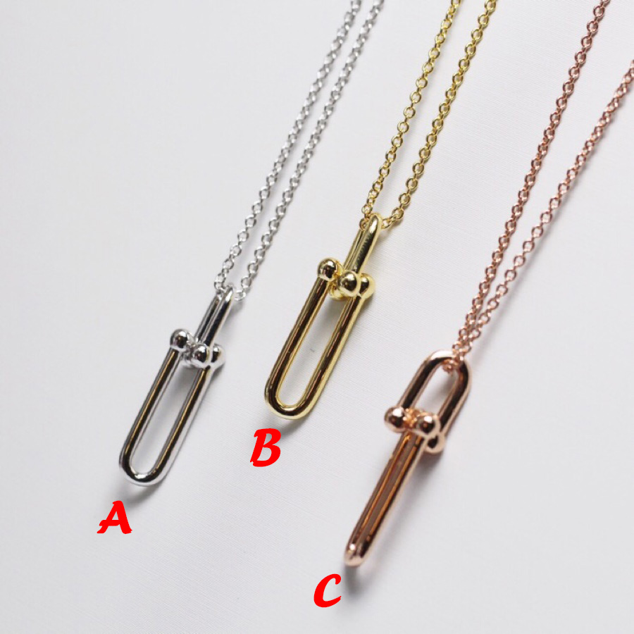 Tiffany&CO Link Pendant - DesignerGu