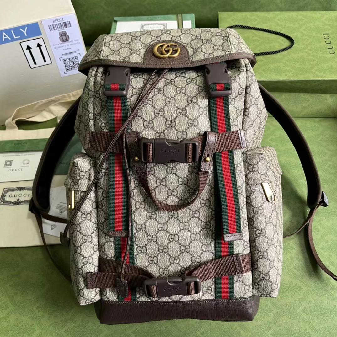 Gucci GG Skateboard Backpack With Web - DesignerGu