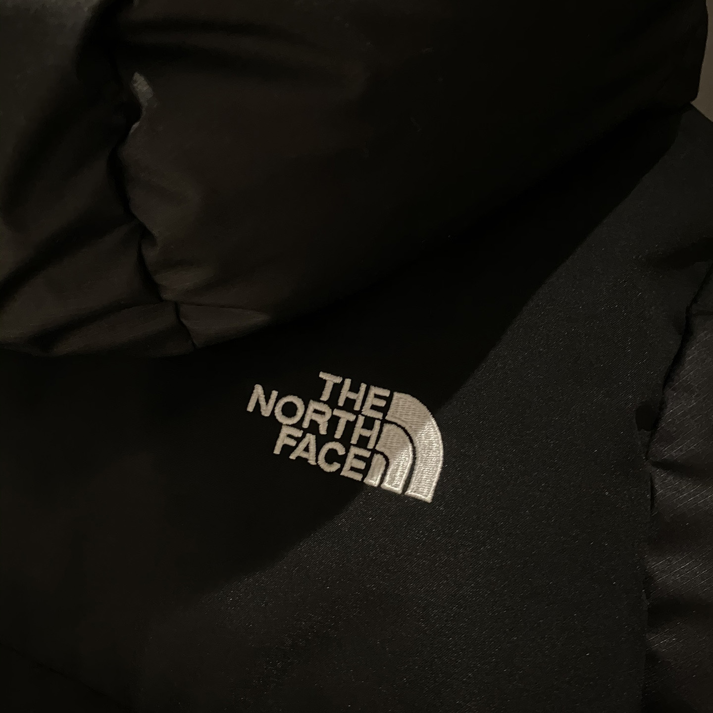 The North Face Embroidered-Logo Padded Coat - DesignerGu