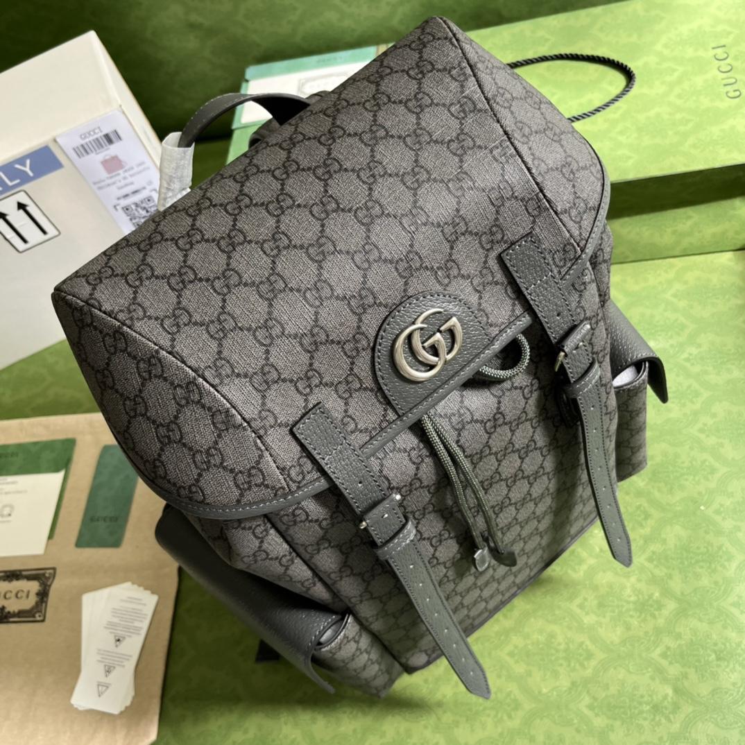 Gucci Ophidia GG Medium Backpack(24-40-16cm) - DesignerGu