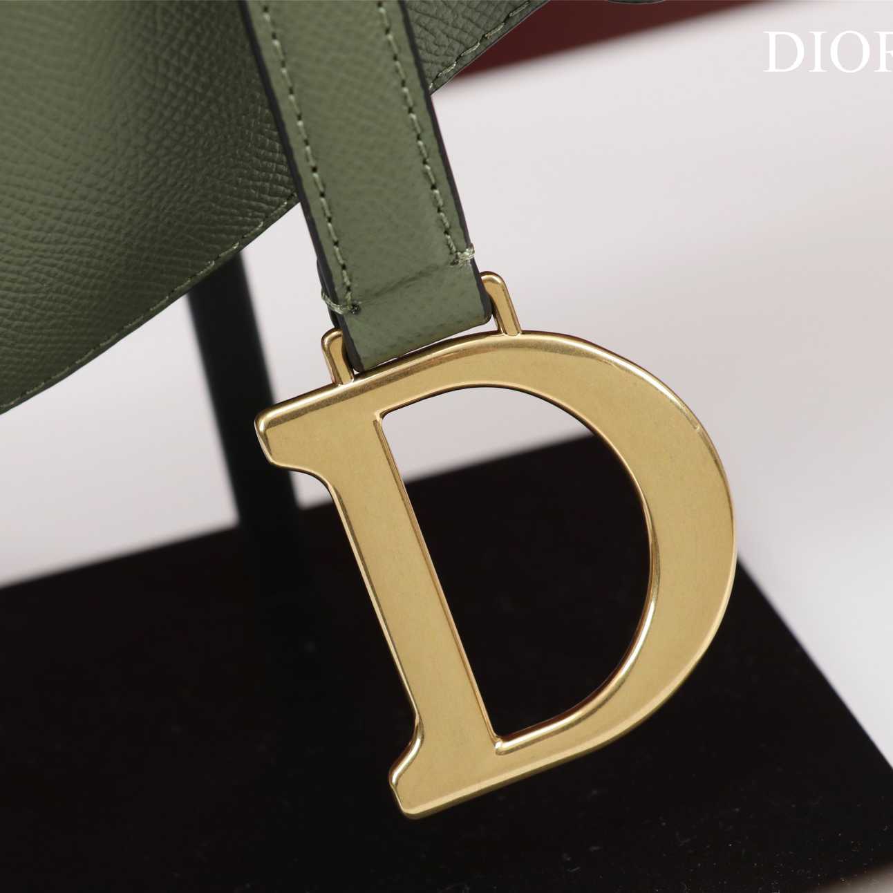 Dior Saddle Bag(25.5-20-6.5cm) - DesignerGu