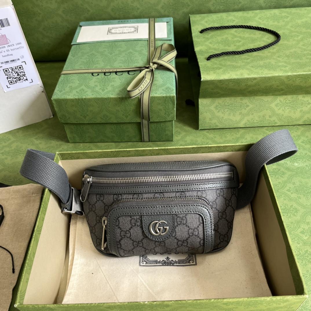 Gucci Ophidia Belt Bag(23-12-2.5cm) - DesignerGu