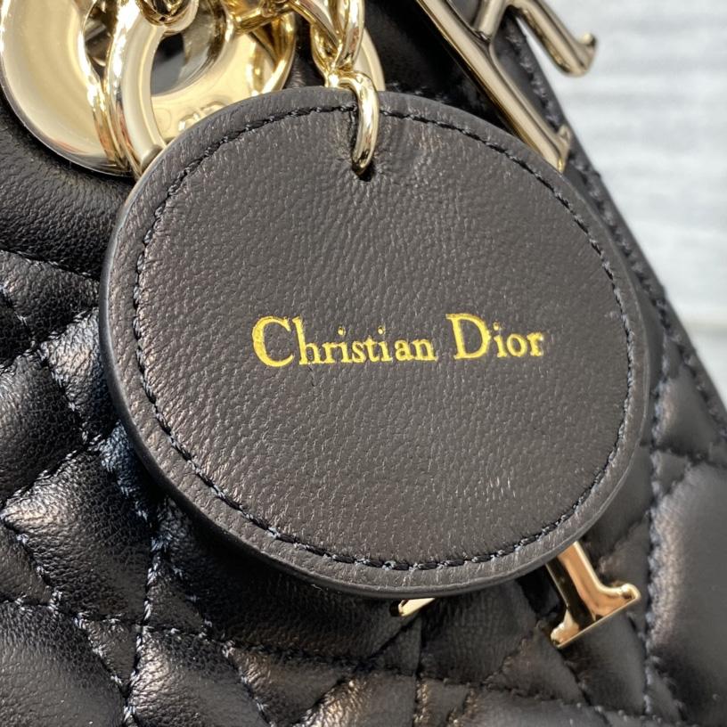 Dior Lady Bag    20cm - DesignerGu