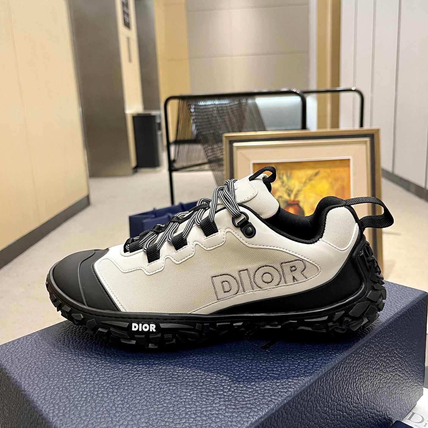 Dior Diorizon Hiking Shoe - DesignerGu