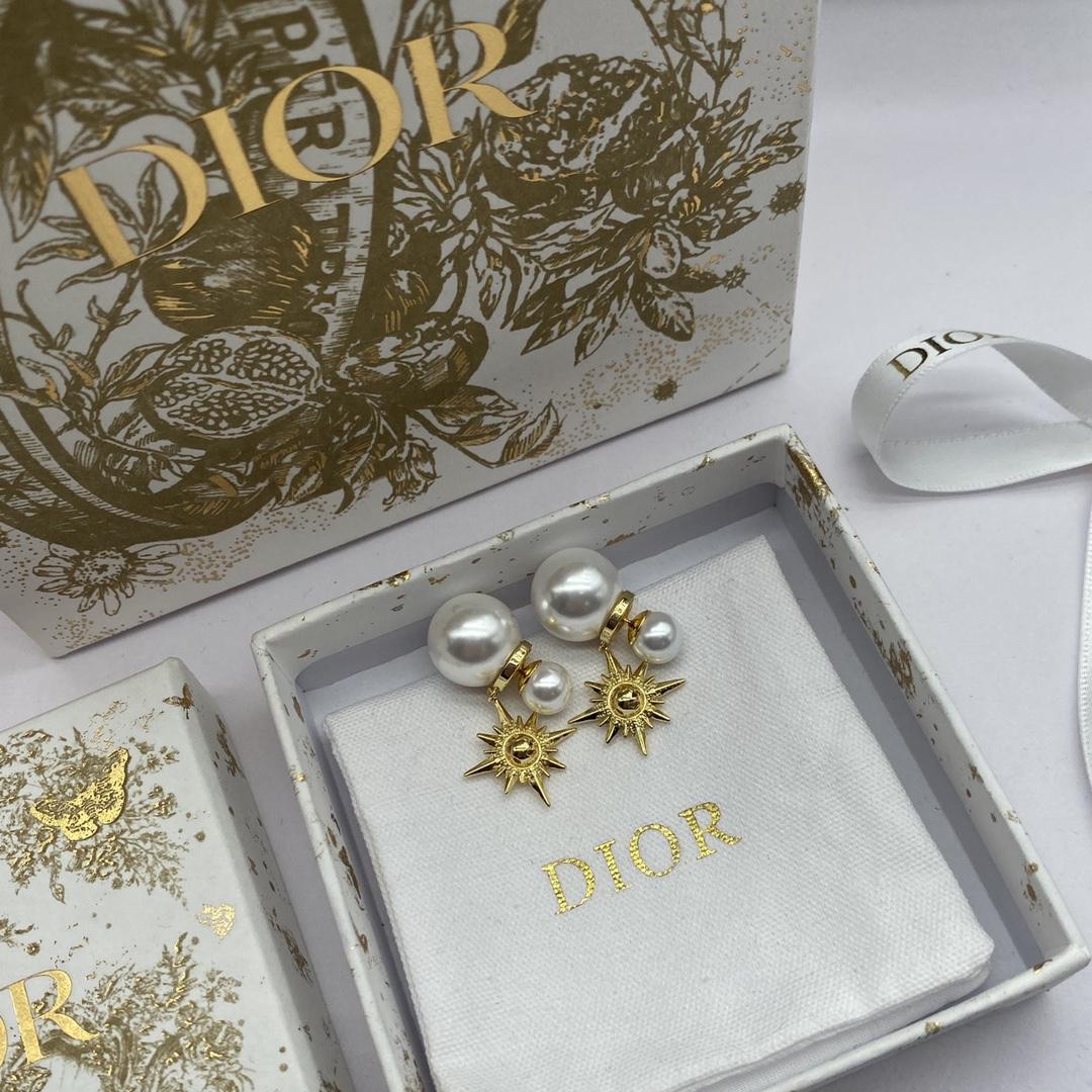 Dior Tribales Earrings - DesignerGu