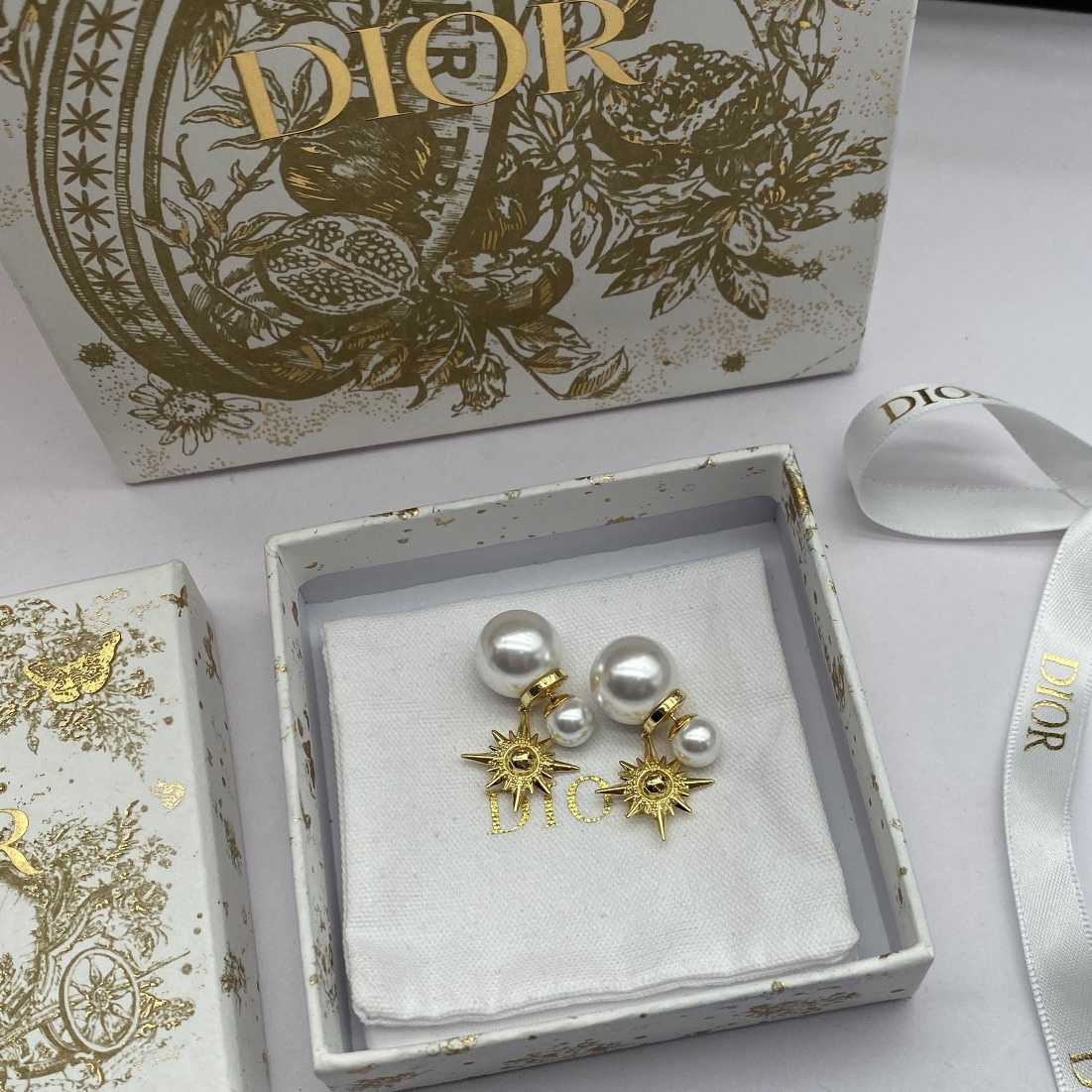 Dior Tribales Earrings - DesignerGu