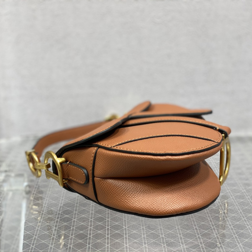 Dior Saddle Bag(19.5cm) - DesignerGu