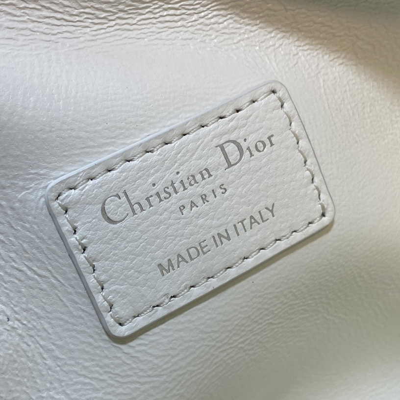 Dior Medium Diortravel Nomad Pouch - DesignerGu