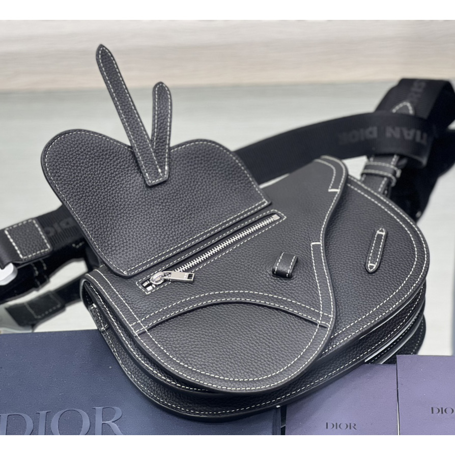 Dior Saddle Pouch - DesignerGu