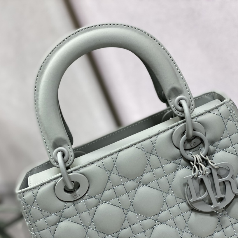 Dior Medium Lady Dior Bag - DesignerGu