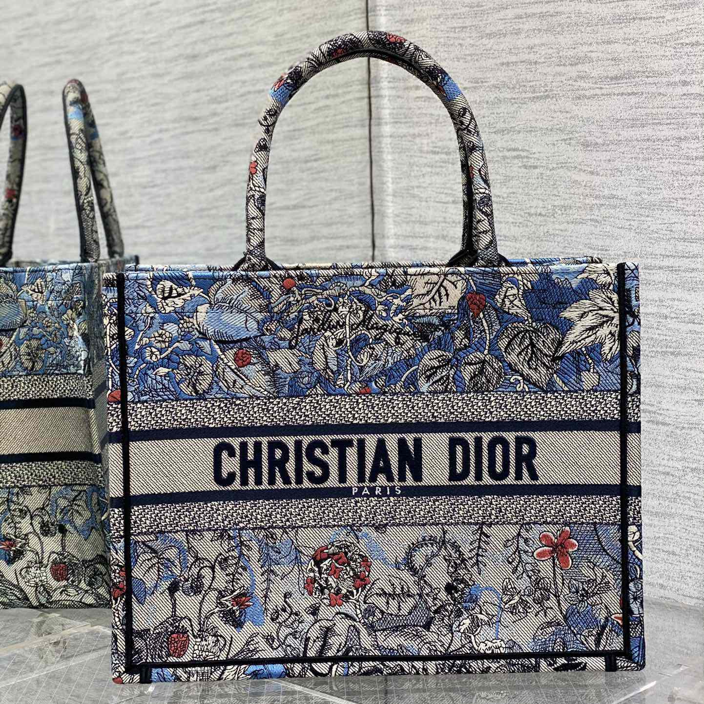 Dior Medium Dior Book Tote - DesignerGu