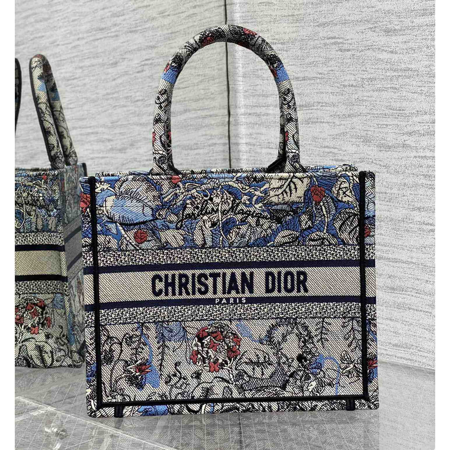 Dior Small Dior Book Tote - DesignerGu