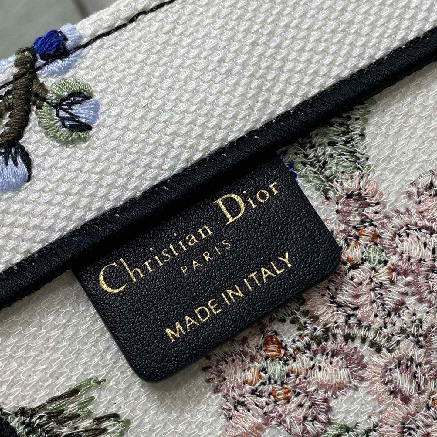 Dior Large Dior Book Tote - DesignerGu