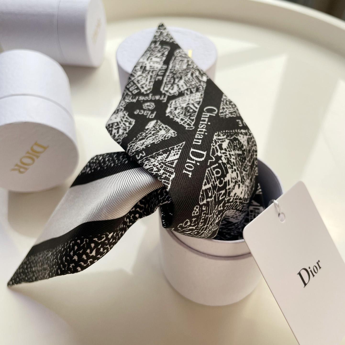 Dior Plan de Paris Mitzah Scarf  - DesignerGu