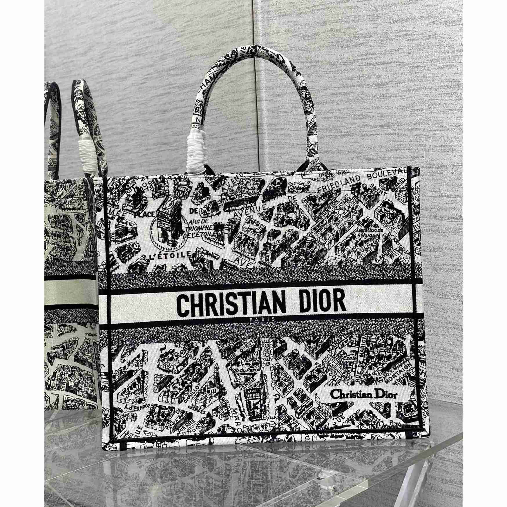 Dior Large Dior Book Tote - DesignerGu