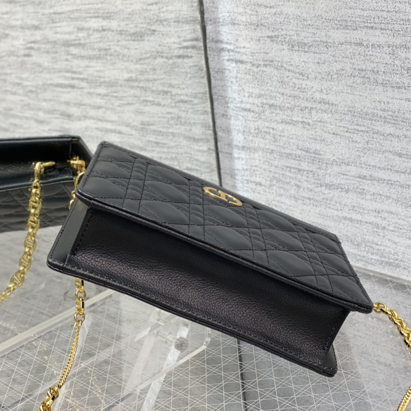 Dior Caro Zipped Pouch With Chain  - DesignerGu