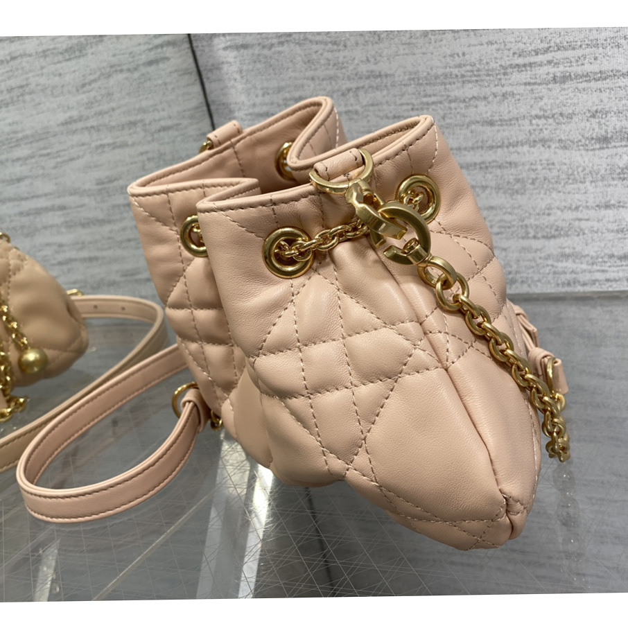 Dior Medium Dior Ammi Bag - DesignerGu