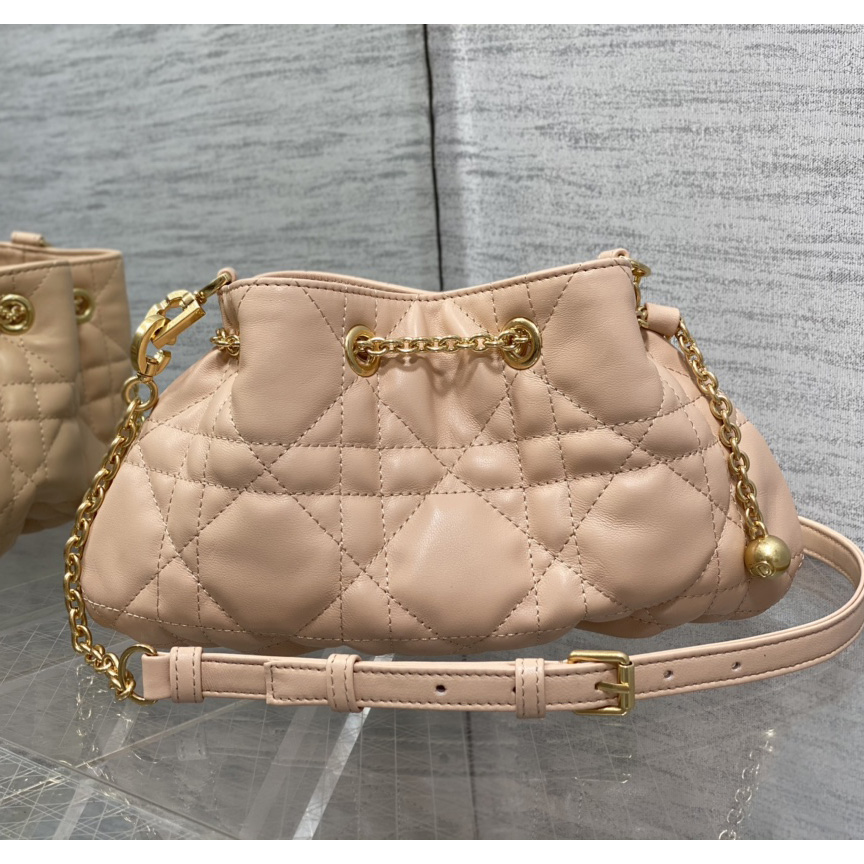 Dior Medium Dior Ammi Bag - DesignerGu