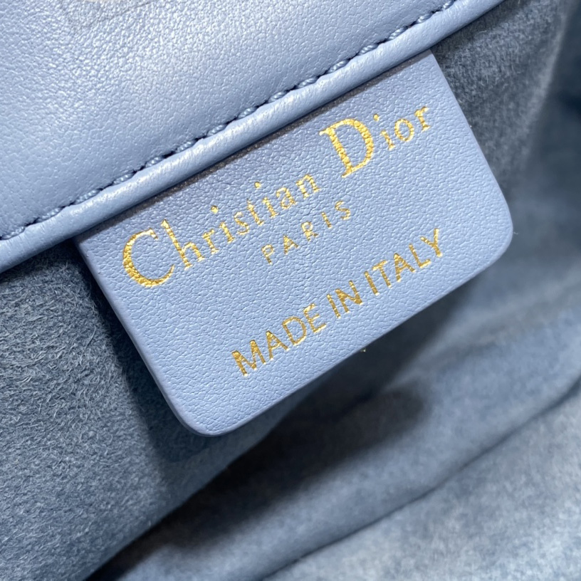 Dior Medium Dior Ammi Bag - DesignerGu