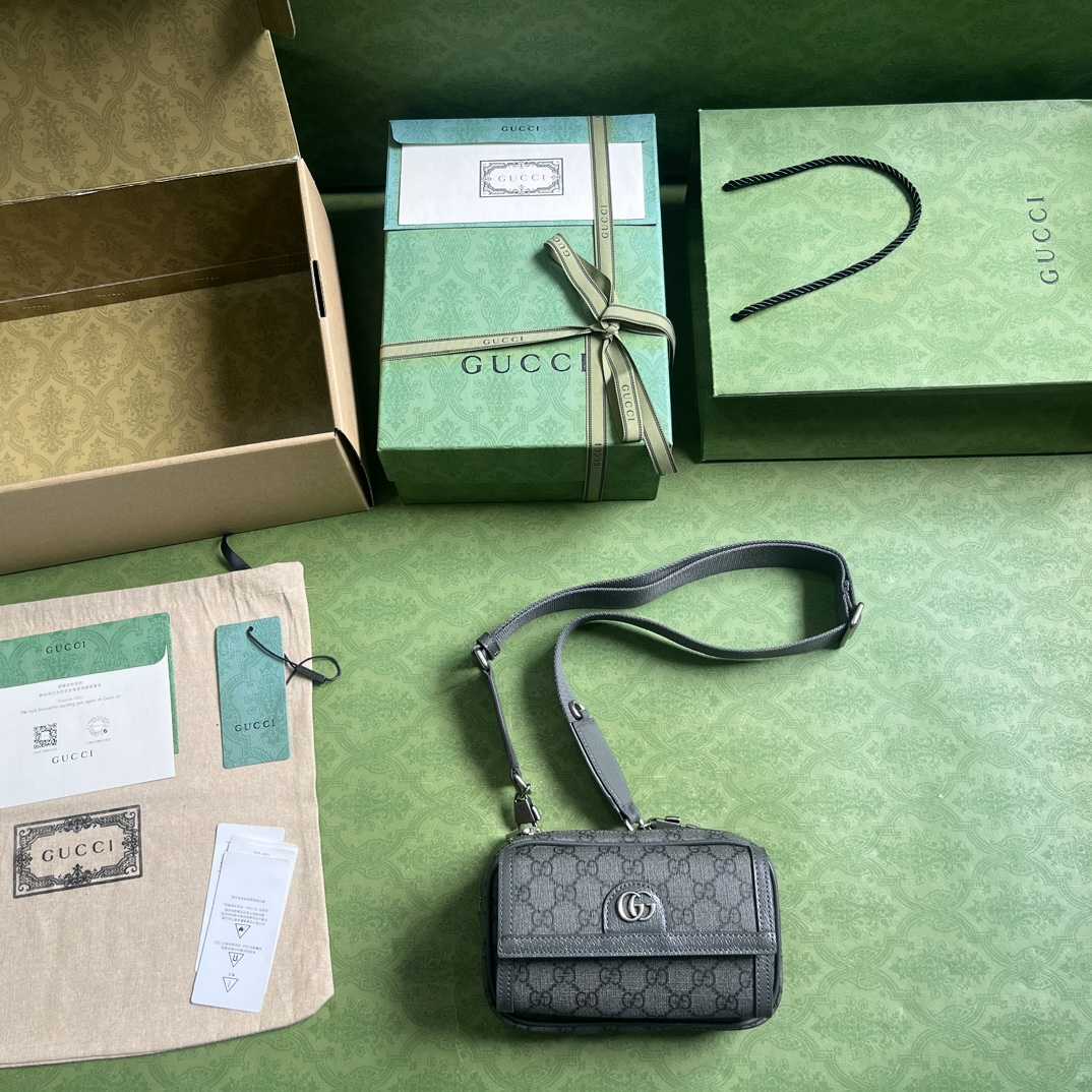 Gucci Ophidia GG Mini Bag(20-12.5-9cm)    - DesignerGu