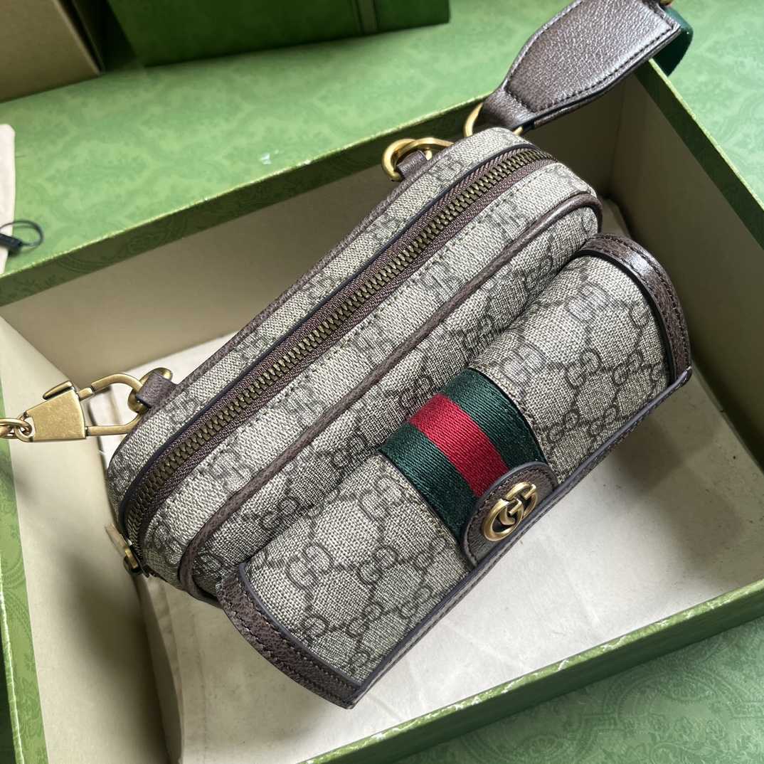 Gucci Ophidia GG Mini Bag(20-12.5-9cm)    - DesignerGu