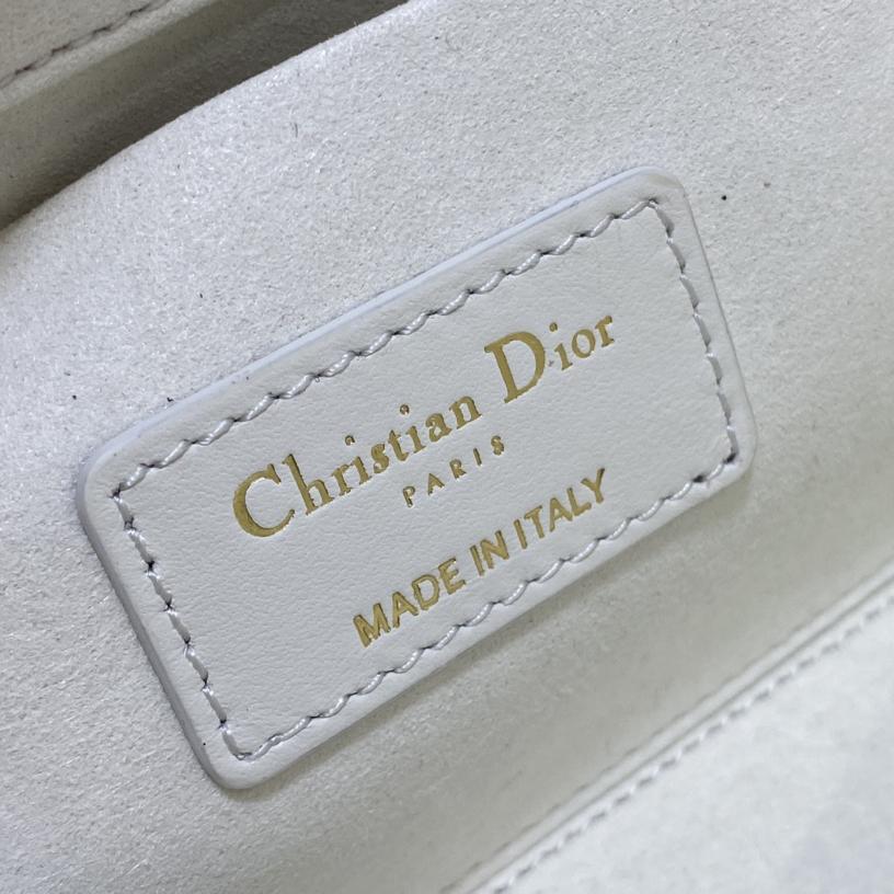 Dior Medium Lady D-Joy Bag - DesignerGu