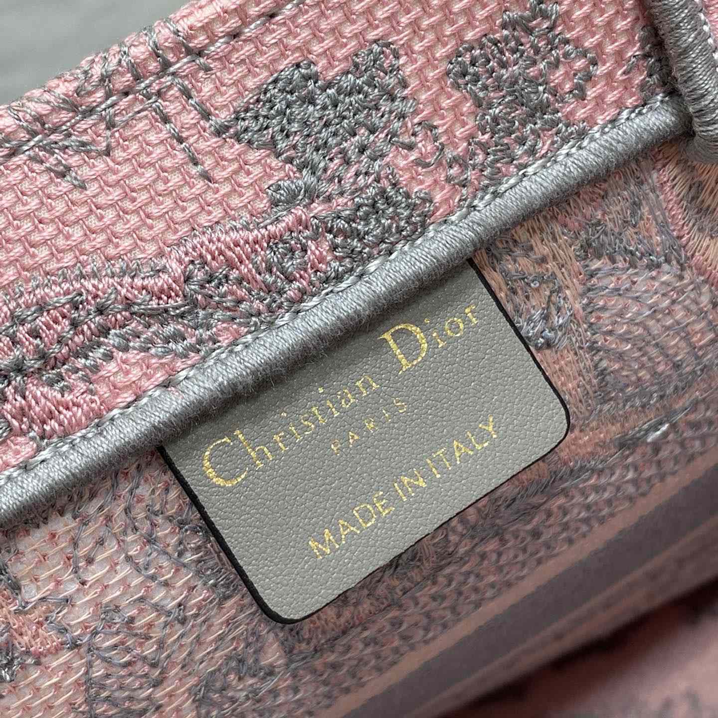 Dior Small Dior Book Tote - DesignerGu