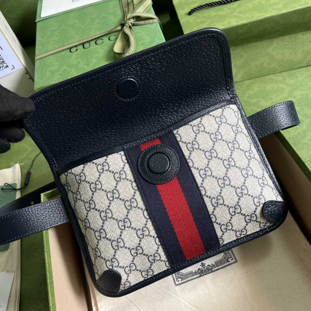 Gucci Ophidia Belt Bag(22*17*3.5cm) - DesignerGu