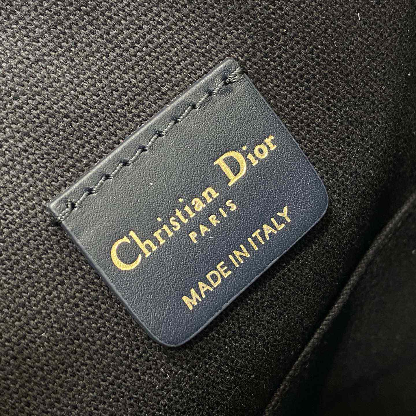 Dior Medium C'est Dior Bag - DesignerGu