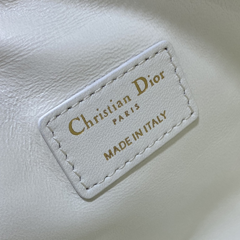 Dior Medium DiorTravel Nomad Pouch - DesignerGu