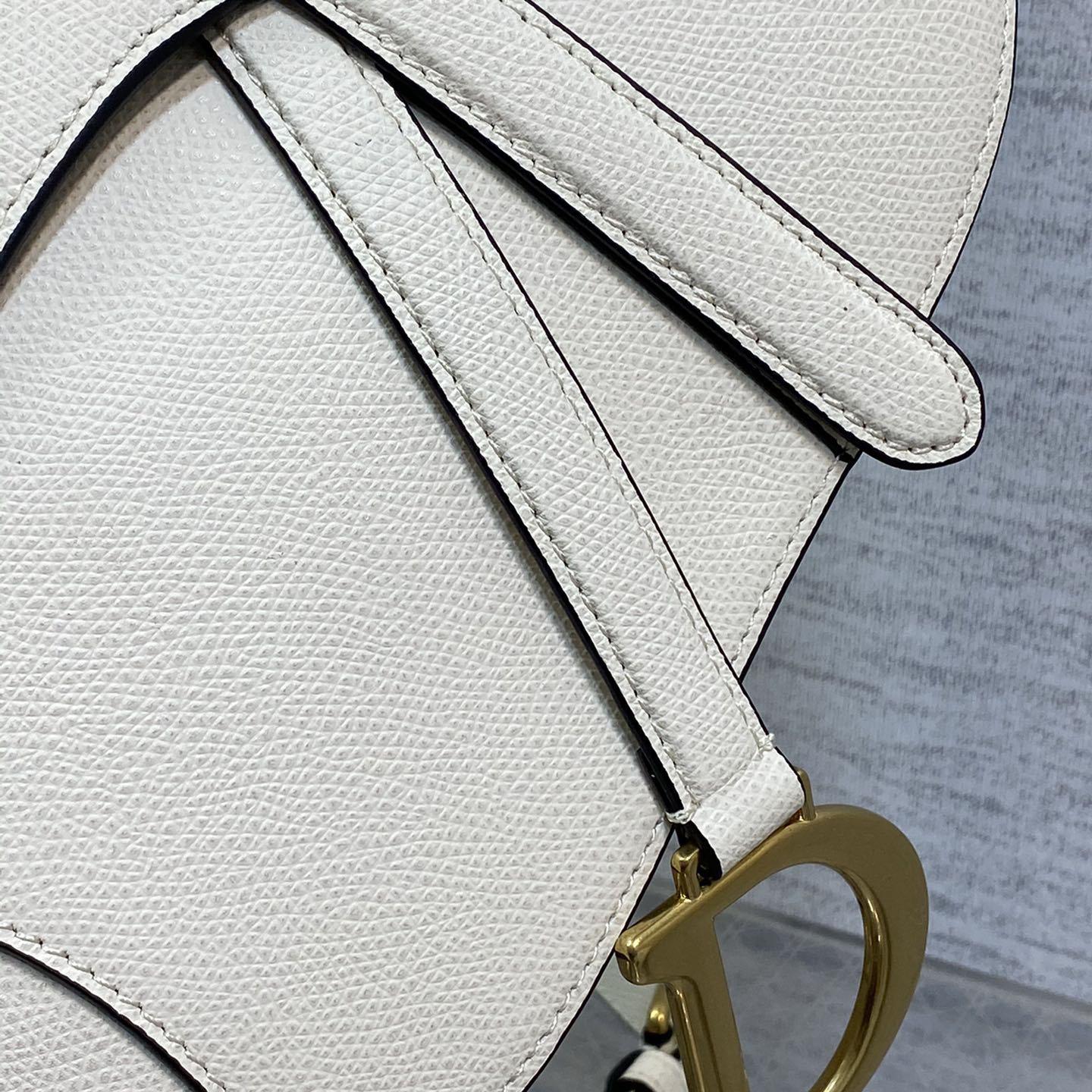 Dior Saddle Bag  - DesignerGu