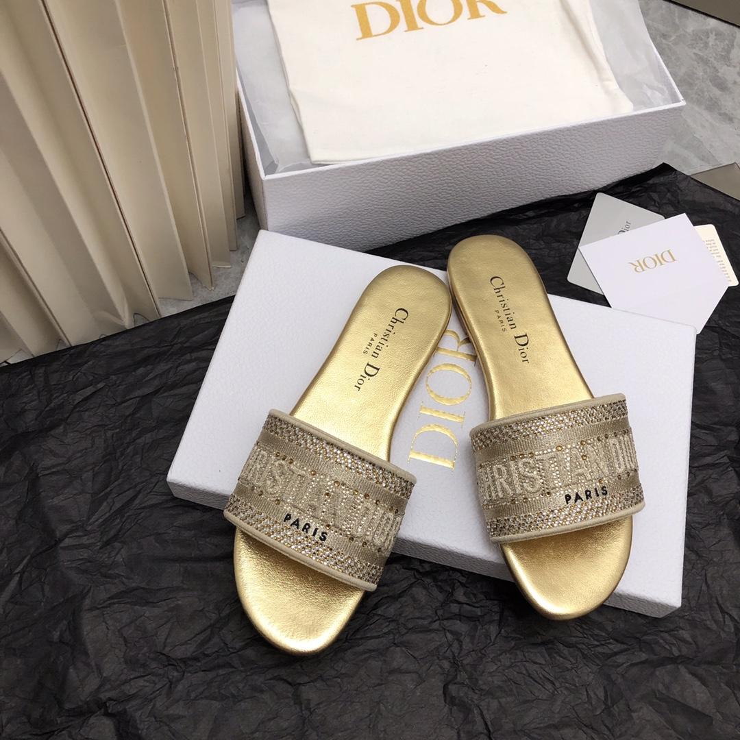 Dior Dway Slide - DesignerGu