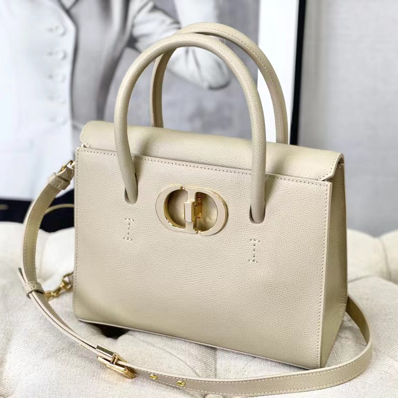 Dior Medium St. Honore Tote (25 -19-12 cm) - DesignerGu